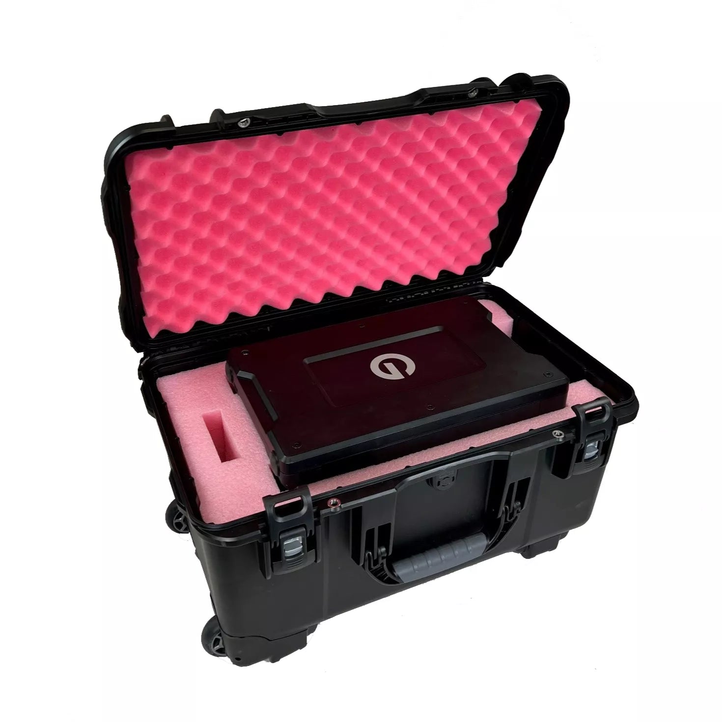 Turtle Case with G-RAID Shuttle 8-Bay